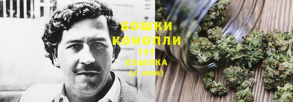 тгк Магас