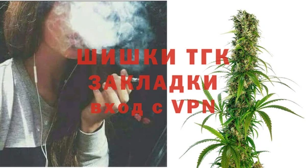 тгк Магас